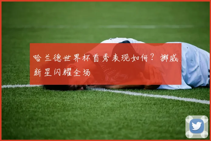哈兰德世界杯首秀表现如何?挪威新星闪耀全场